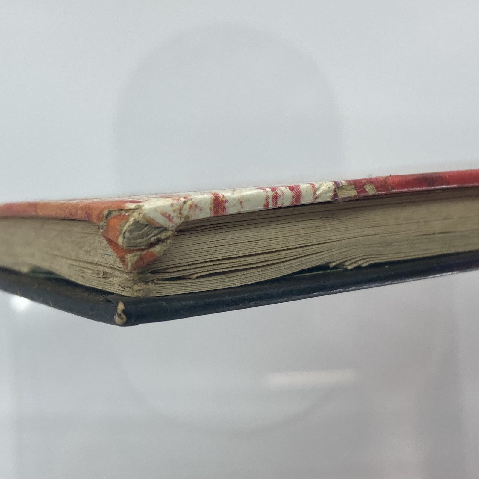 405ec19c-c746-4b29-8ab2-1949dfa3be6f