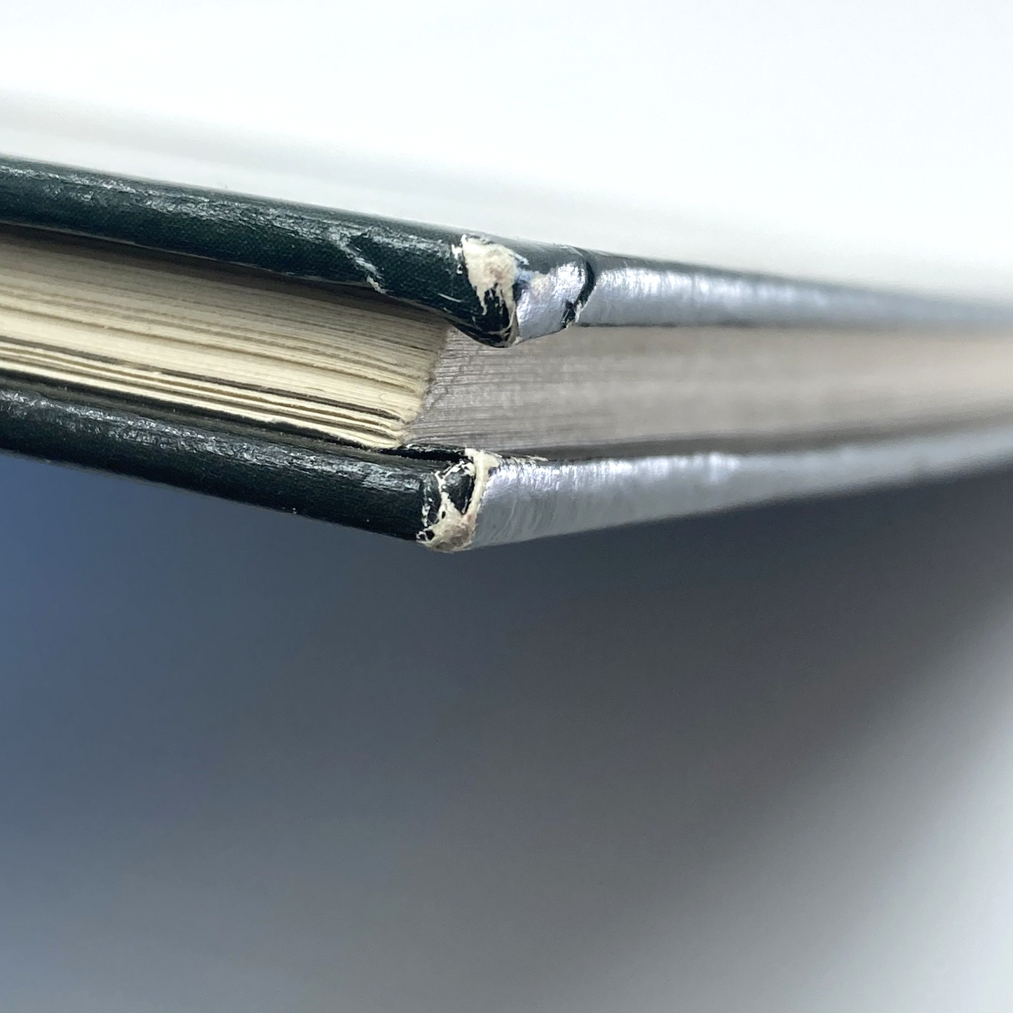 411506c5-529d-443a-b12f-aeda87bb087f