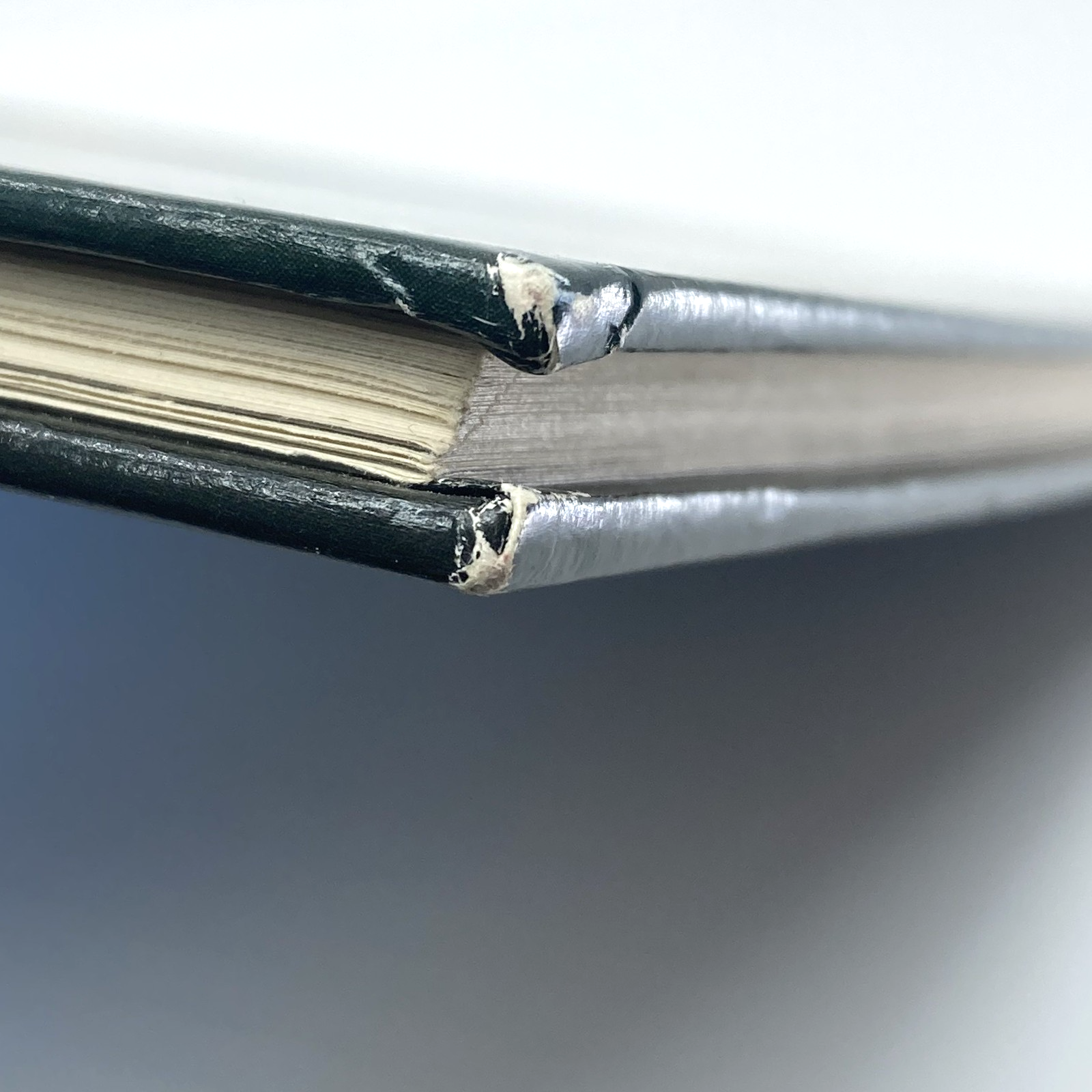 411506c5-529d-443a-b12f-aeda87bb087f