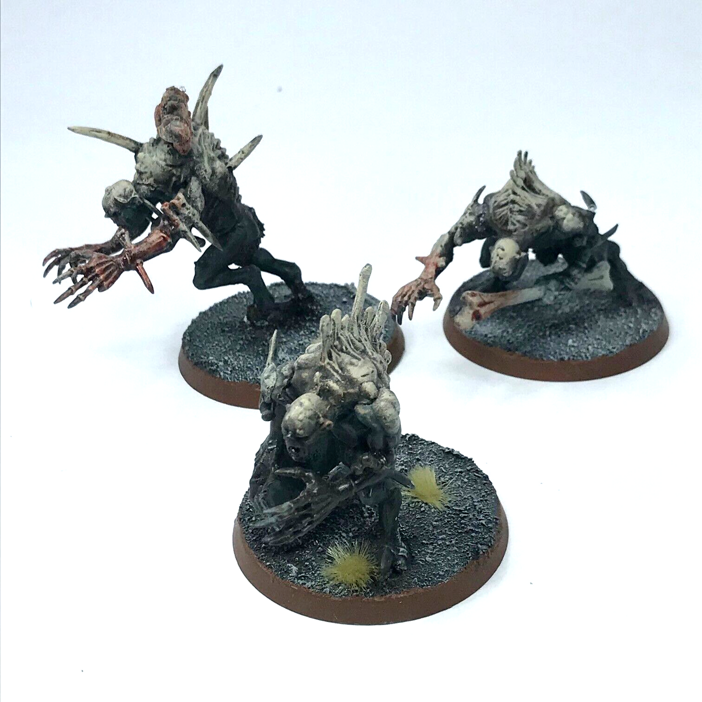 Crypt Horrors Flesh-eater Courts - Painted - Warhammer Age of Sigmar C2619