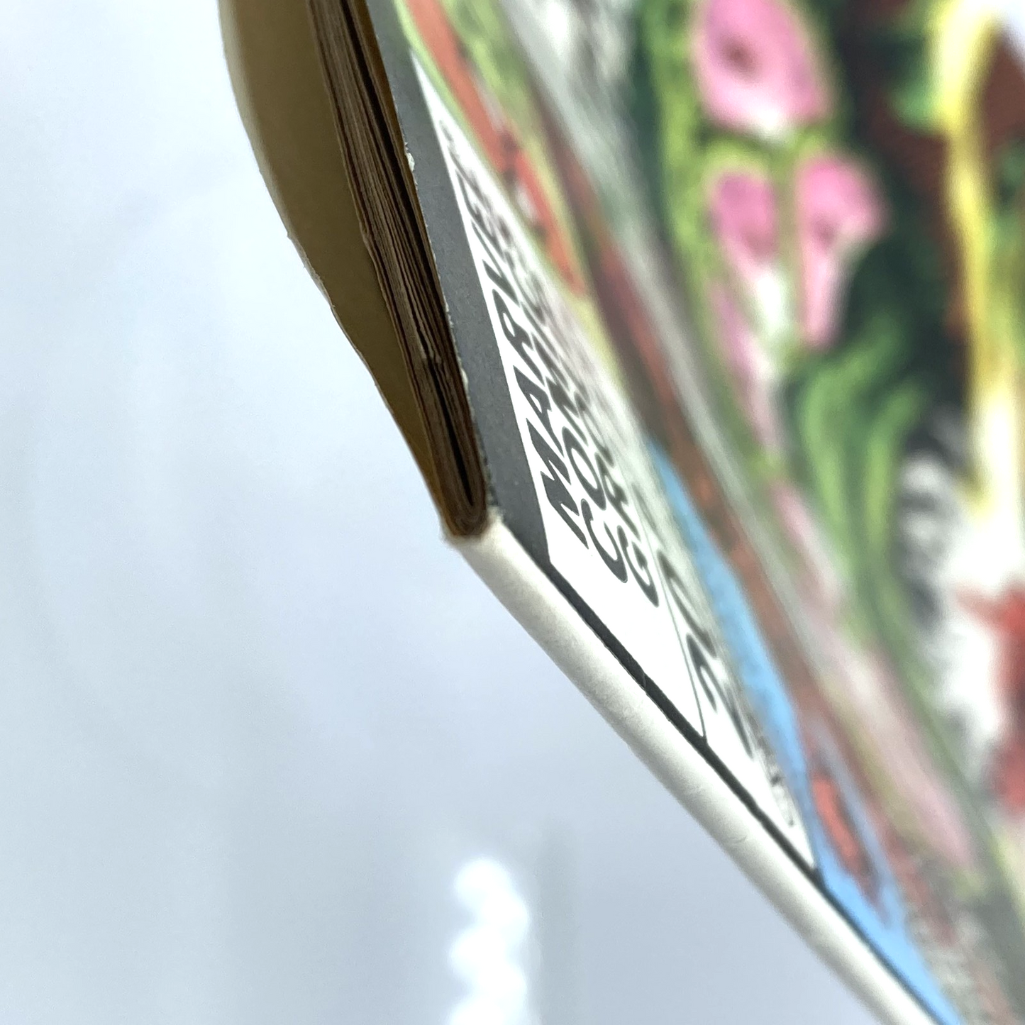 42543f41-45f9-47db-910e-94b77d3a3013