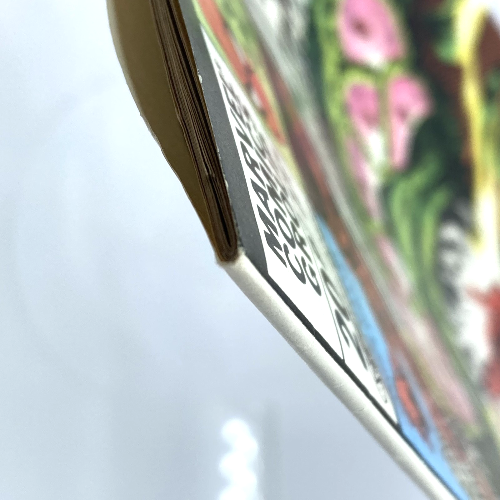 42543f41-45f9-47db-910e-94b77d3a3013
