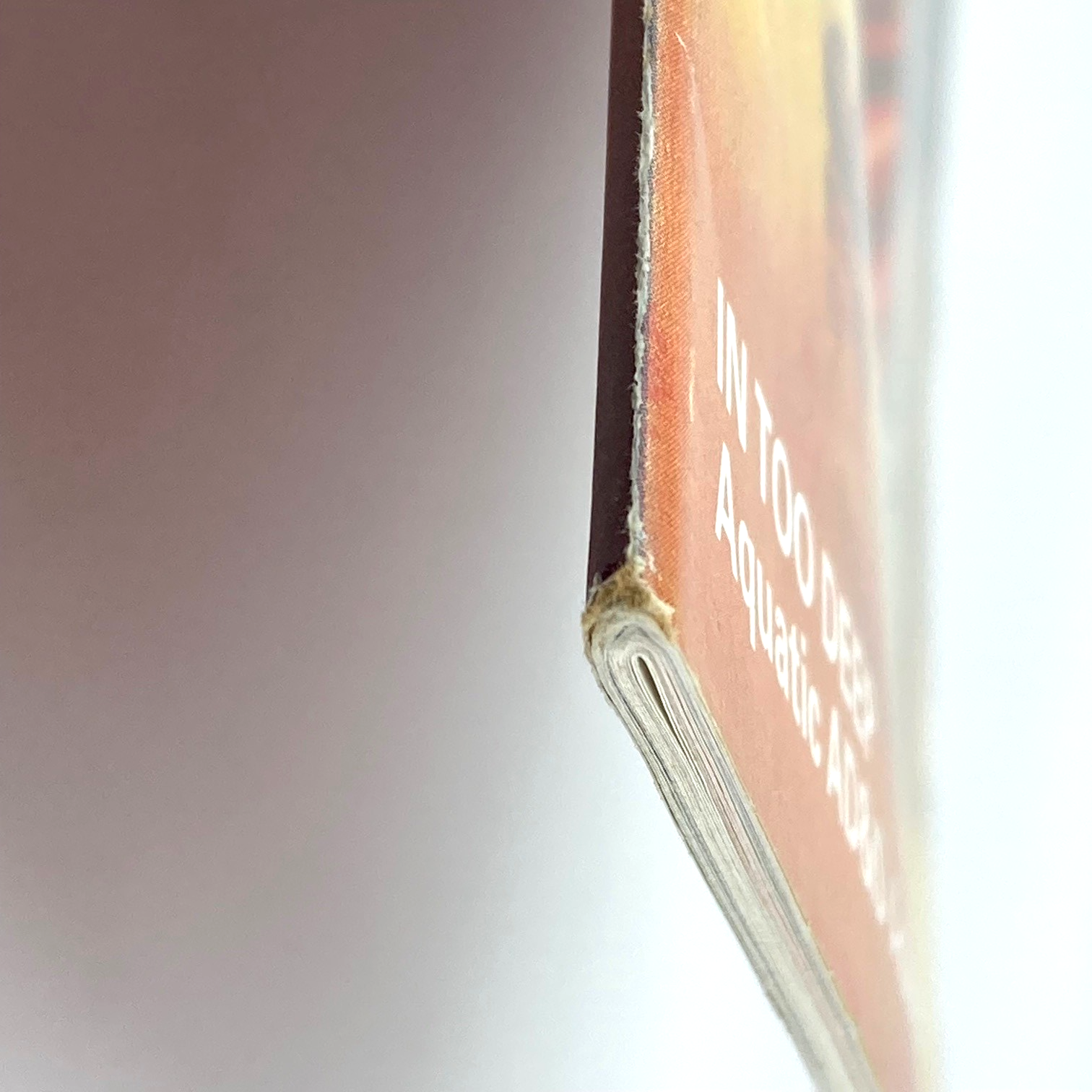 43ded3d4-95d1-4093-9750-50fad56e98ab