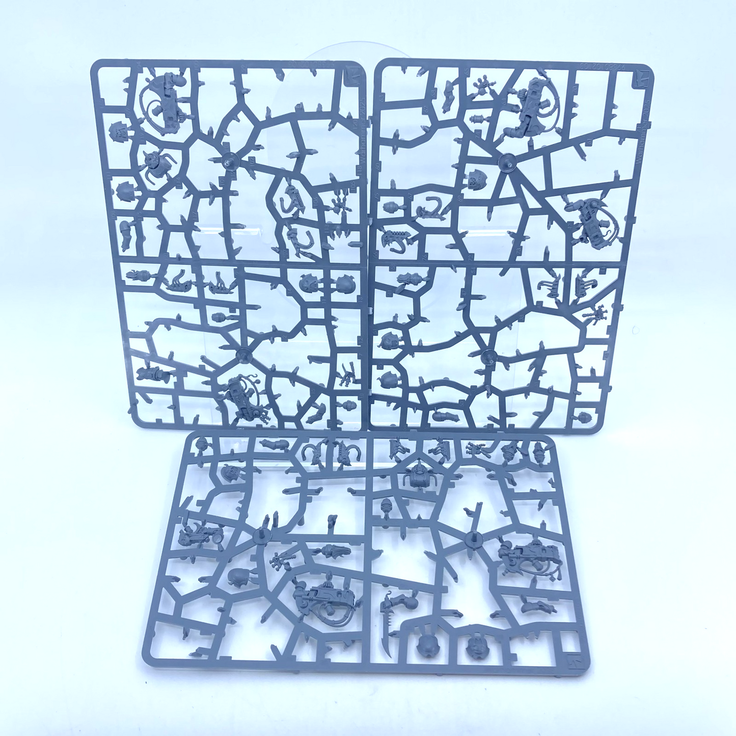443cb5c7-889e-4ec5-ae54-201ce71dab04