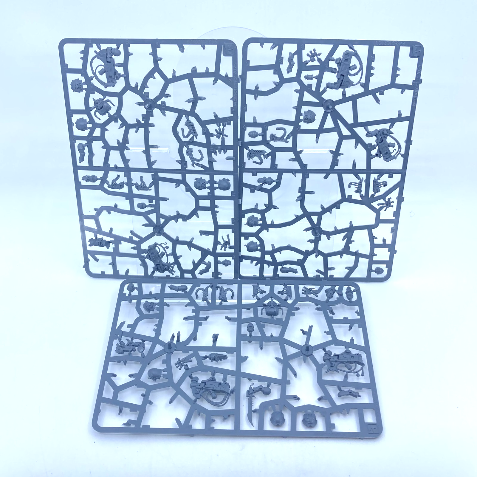 443cb5c7-889e-4ec5-ae54-201ce71dab04