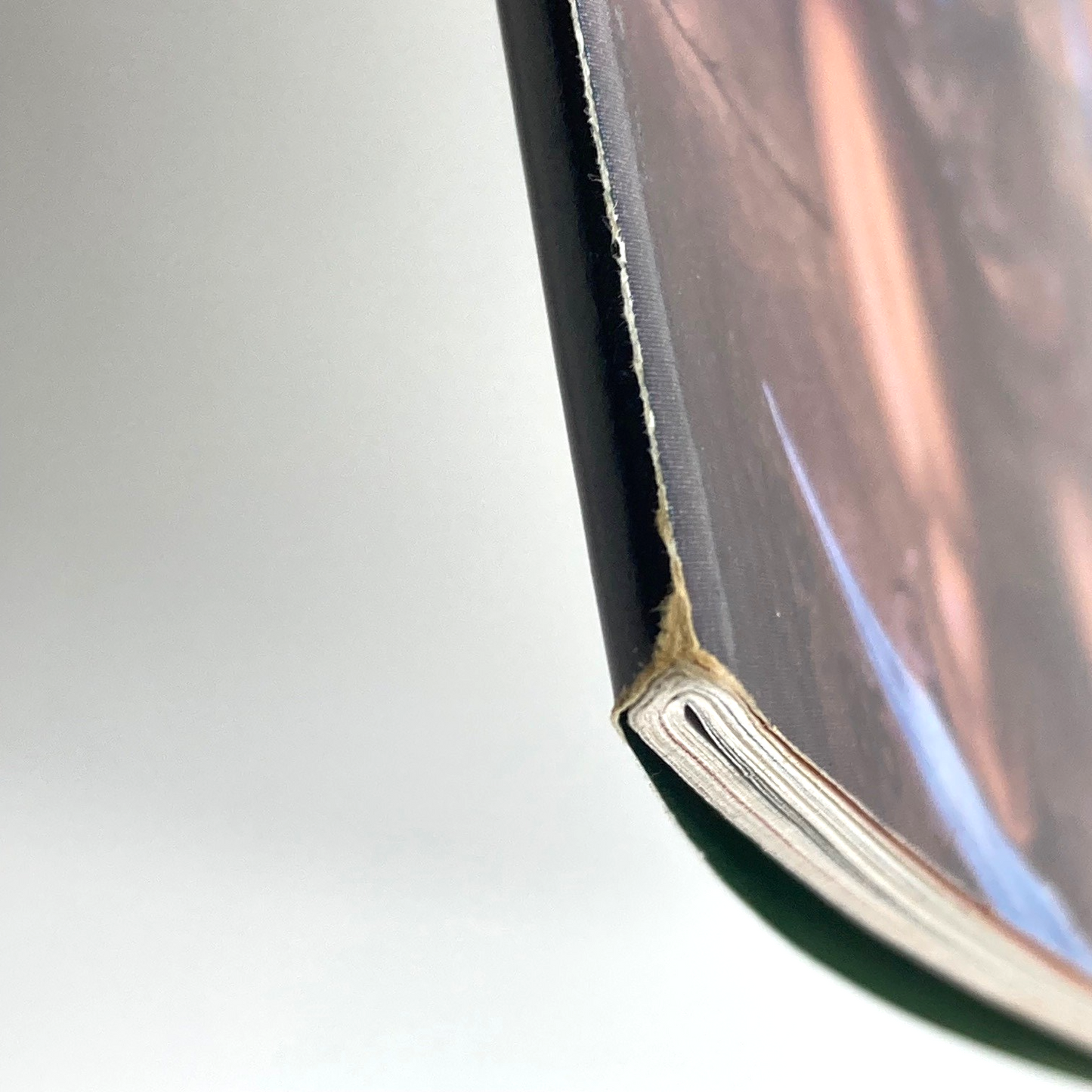 45895ec6-4fdd-46f4-a9e7-2497adf6b90e