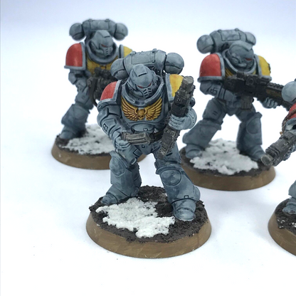 Primaris Intercessors Space Wolves Space Marines - Painted - Warhammer 40K C2368