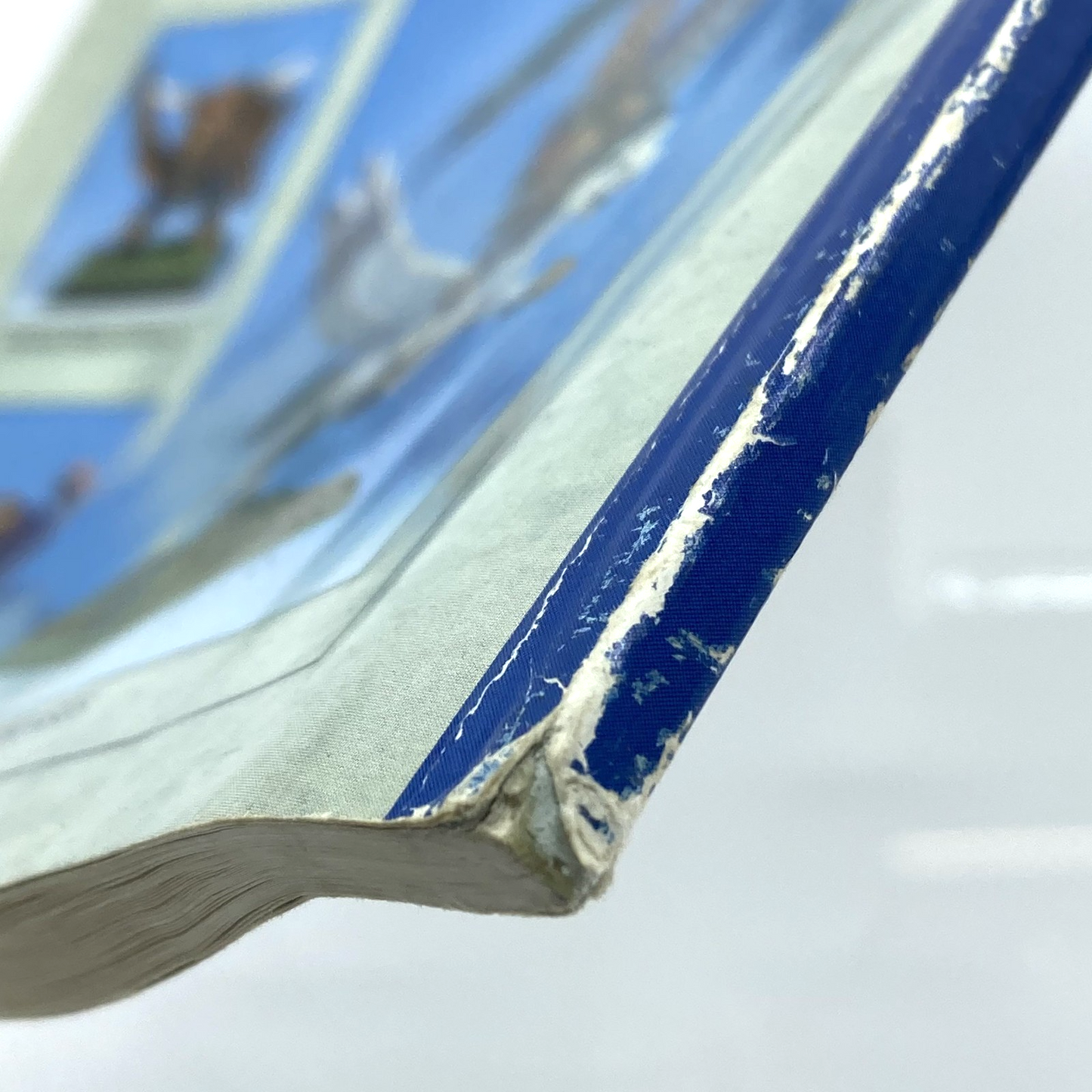 4606bad6-289c-402c-ab65-de5b5beb0f8d