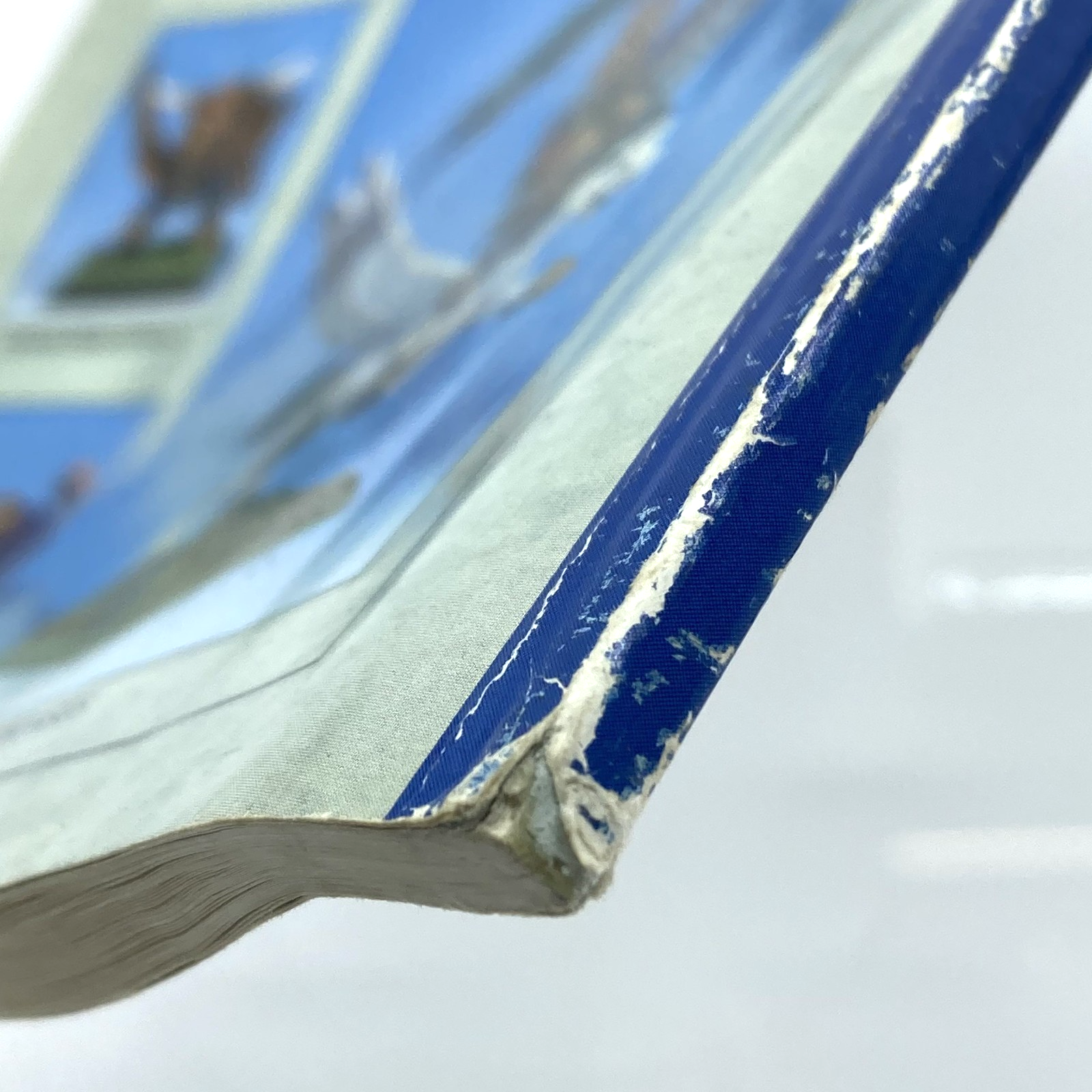 4606bad6-289c-402c-ab65-de5b5beb0f8d