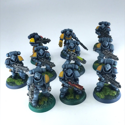 Primaris Intercessors Space Wolves - Warhammer 40K Games Workshop Painted C3833