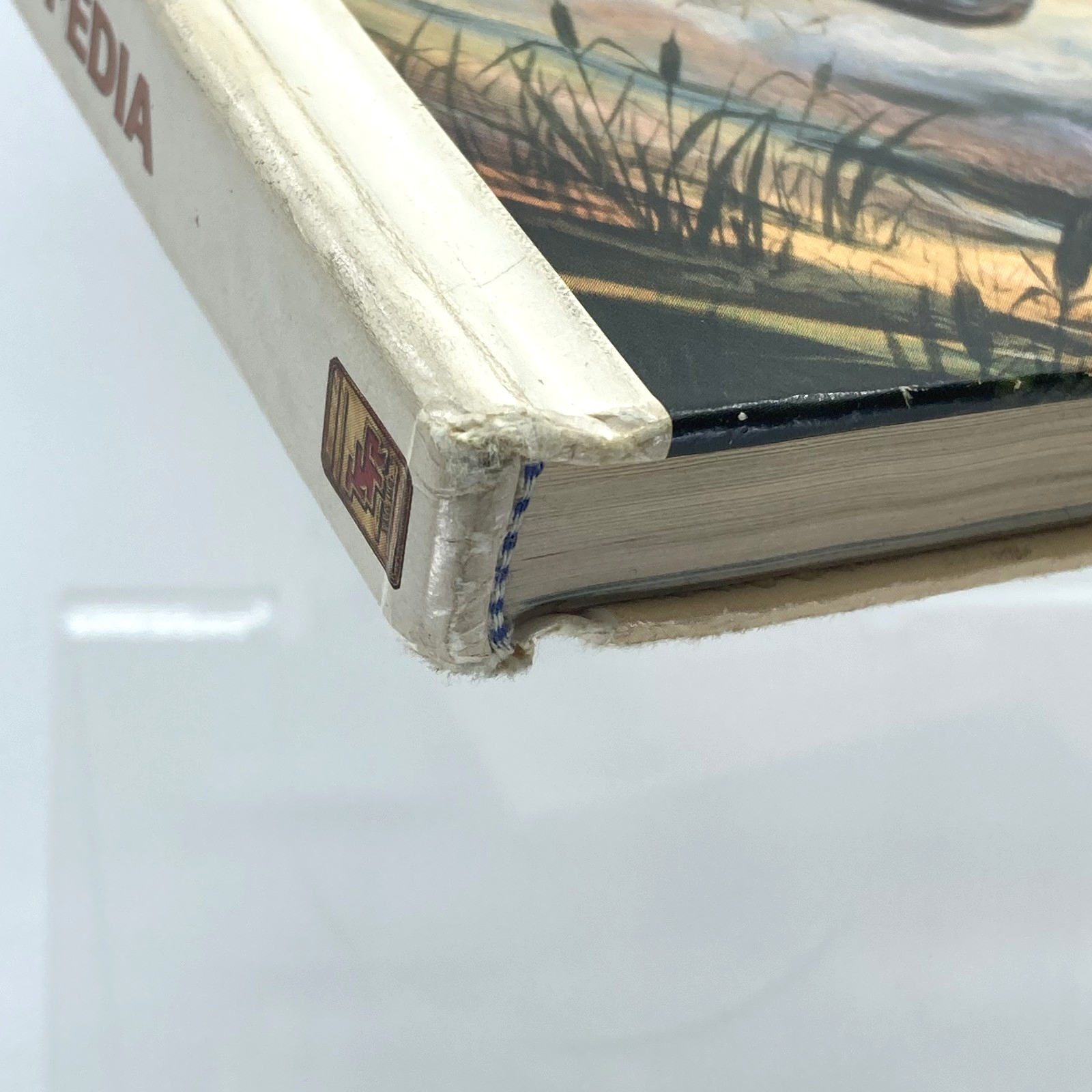 46b0893e-a73e-4d48-8b9f-bd226de4720d