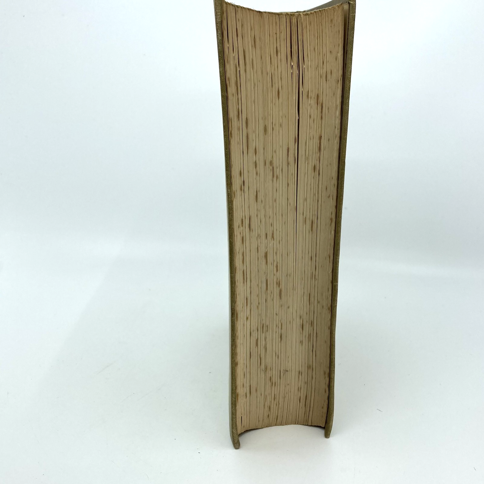 46f66384-2883-4d59-8b9a-eaf25b035759