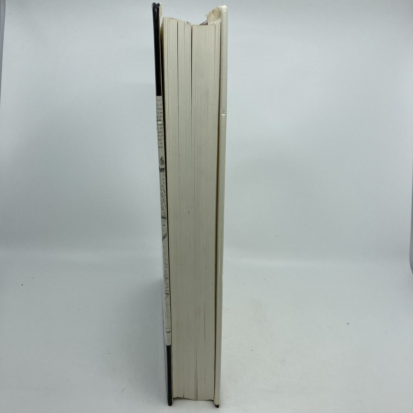 472bb0e7-6e57-4d08-8b6d-48ad608d1fee