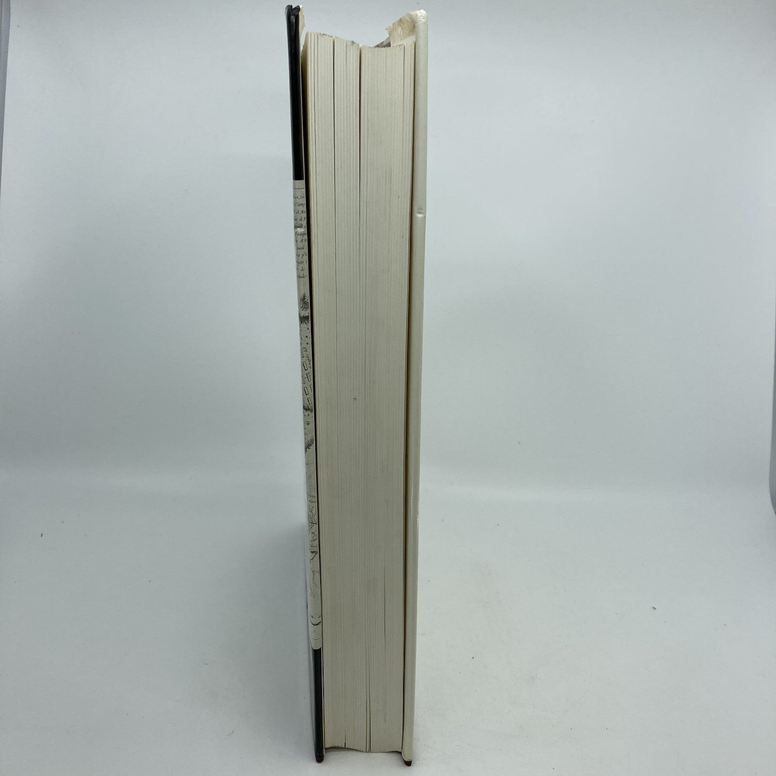 472bb0e7-6e57-4d08-8b6d-48ad608d1fee