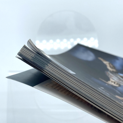 4760db35-f469-4954-b0c6-79bc247a67e3