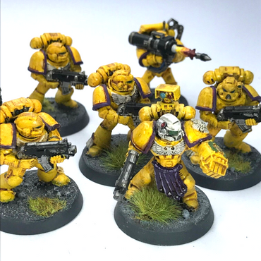 Imperial Fists Tactical Squad Space Marines - Painted - Warhammer 40K C1206