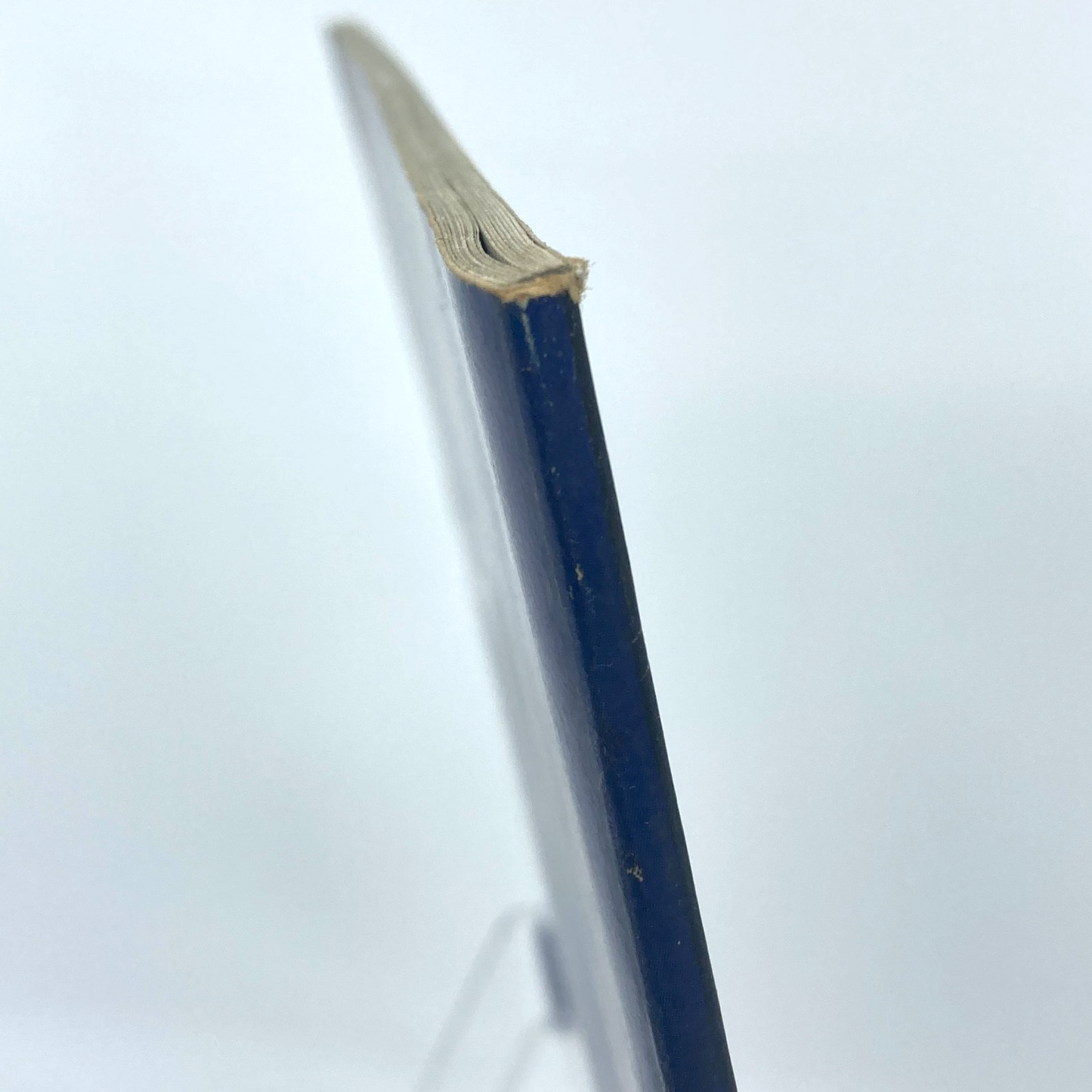 49259959-7fa9-44e9-8a47-9af2b40a7fe8