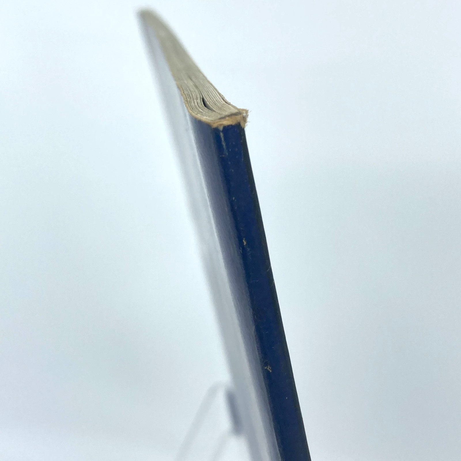 49259959-7fa9-44e9-8a47-9af2b40a7fe8