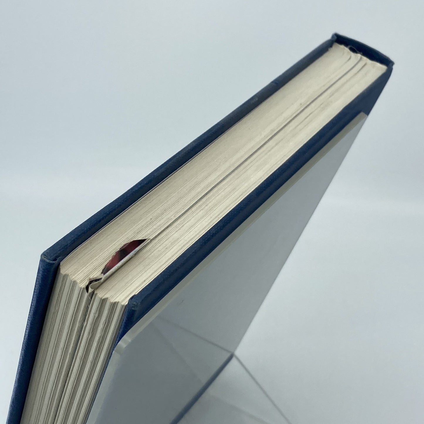 4972130b-da0a-40e3-a27e-5e9d9443889c