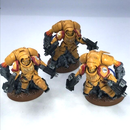 Imperial Fists Primaris Inceptors Space Marines - Warhammer 40K Painted C4764