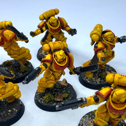 Assault Intercessors Imperial Fist Space Marine - Painted - Warhammer 40K C3127