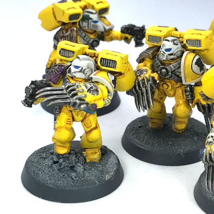 Imperial Fists Assault Marines Space Marines - Painted - Warhammer 40K C3824