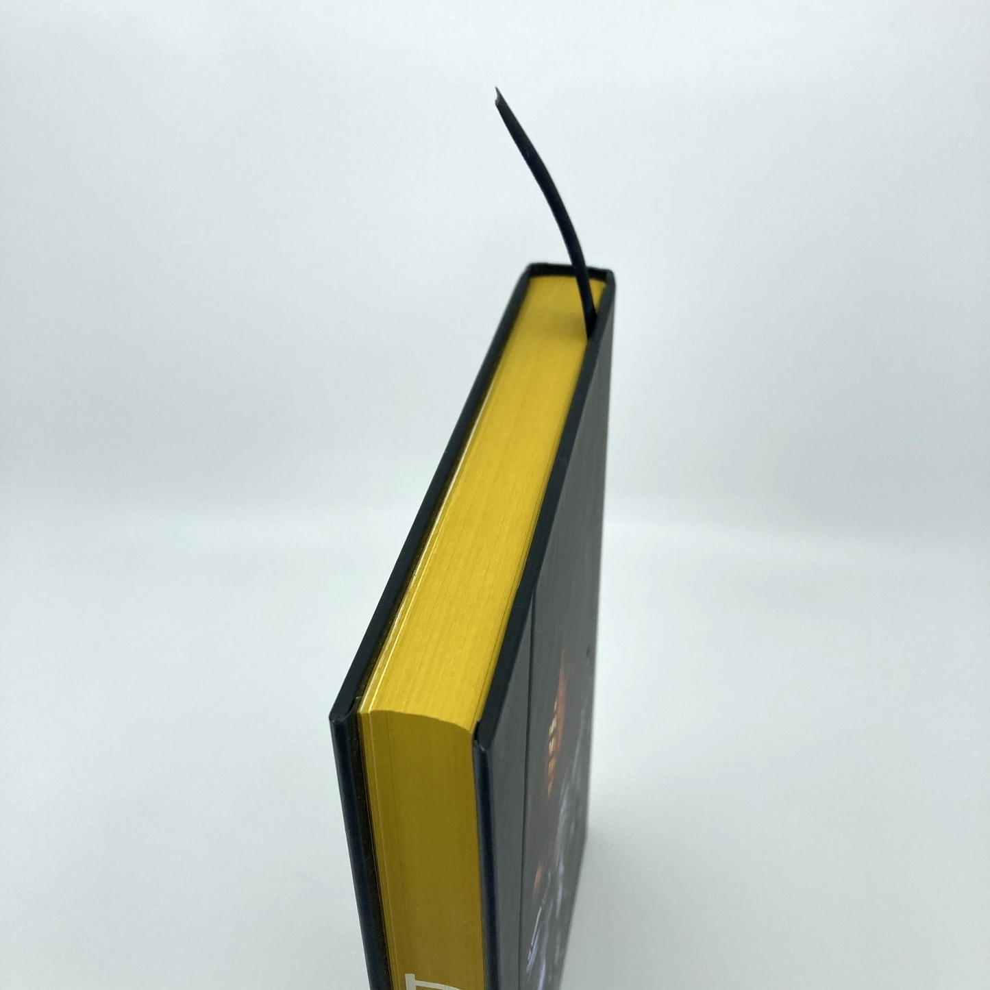 4b5af7f6-f4fd-481c-8e3b-2711842b0ebc