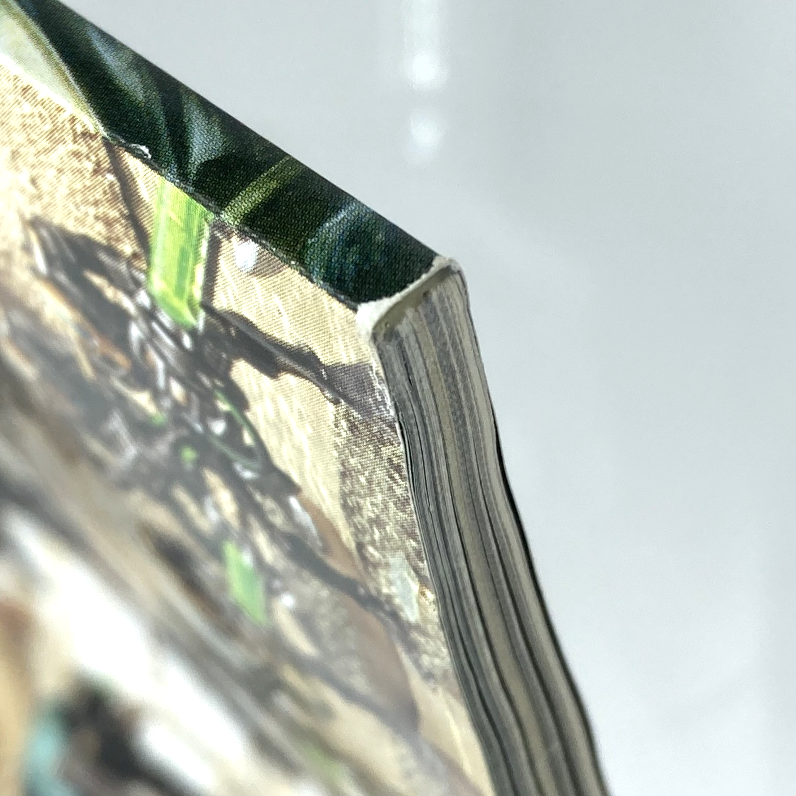 4b96db91-5179-4f90-81e2-85b5c51fce57