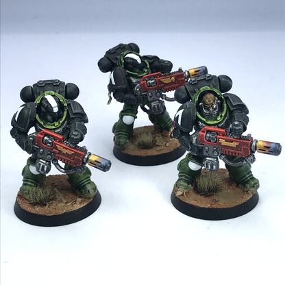 Salamanders Primaris Eradicators Space Marines - Warhammer 40K Painted C4682