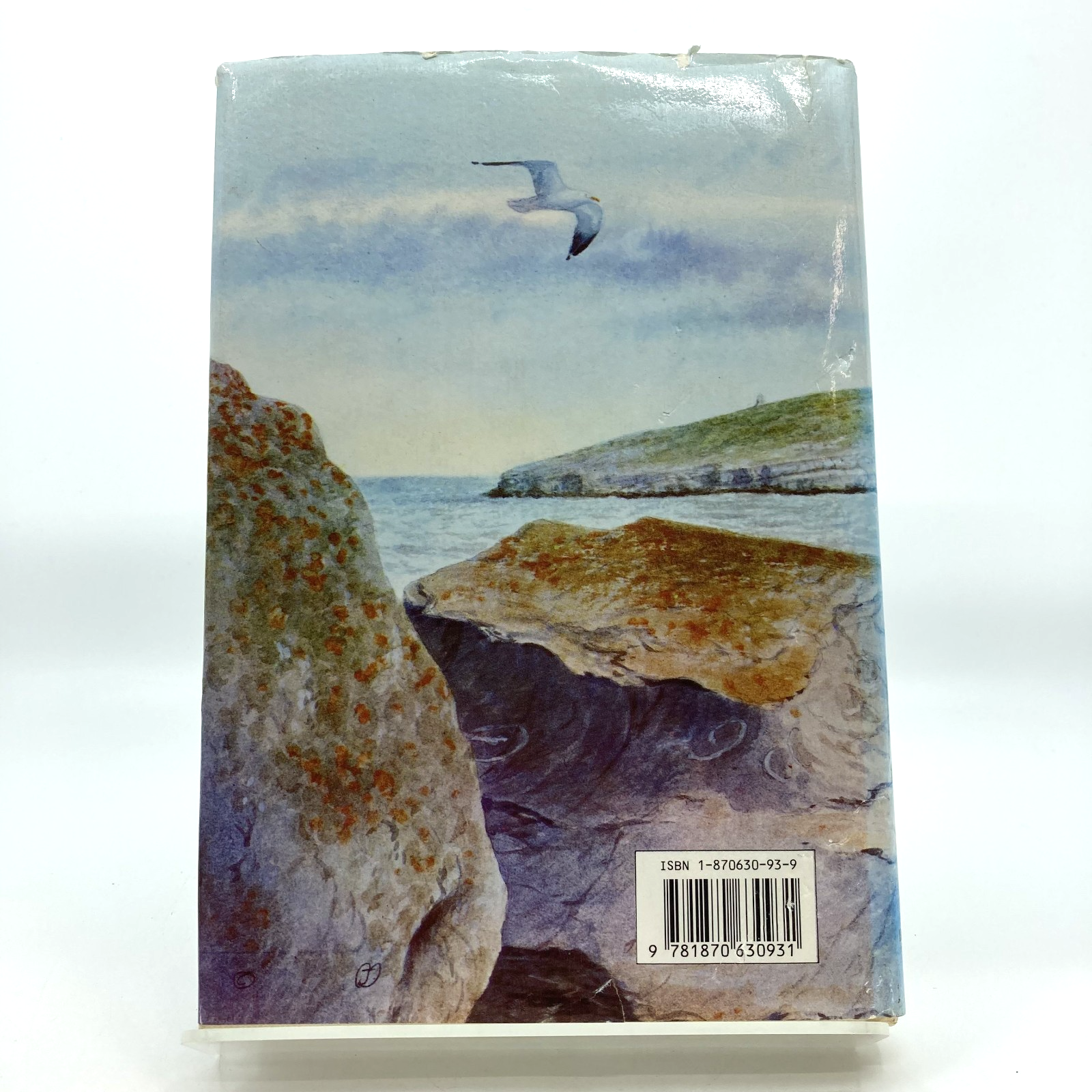 4c0ce365-ff4f-4ffa-91dd-5adaa52098dc