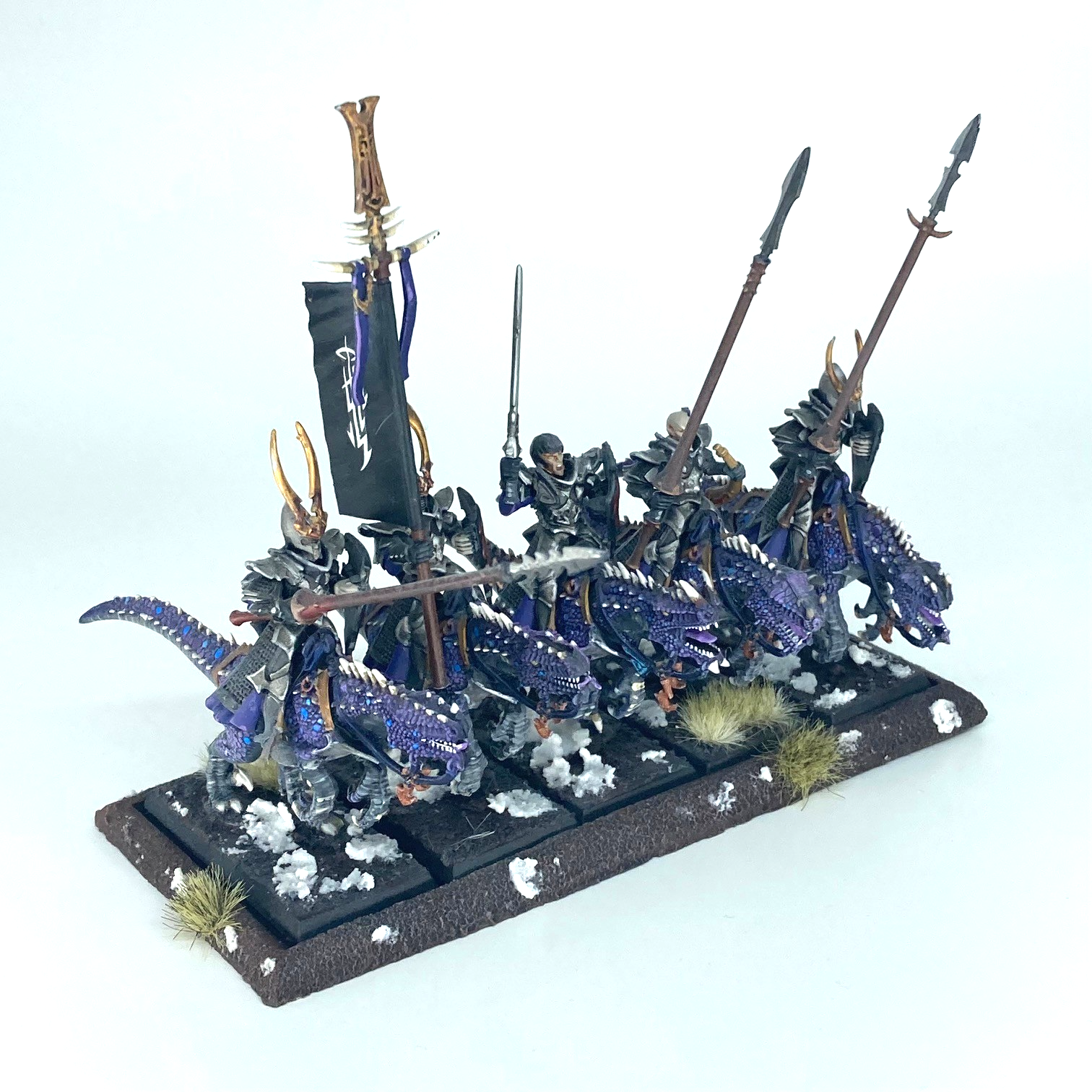 Saurus Cold One Riders Dark Elf Cold One Riders & Tray - Dark Elves - Warhammer Fantasy Paint