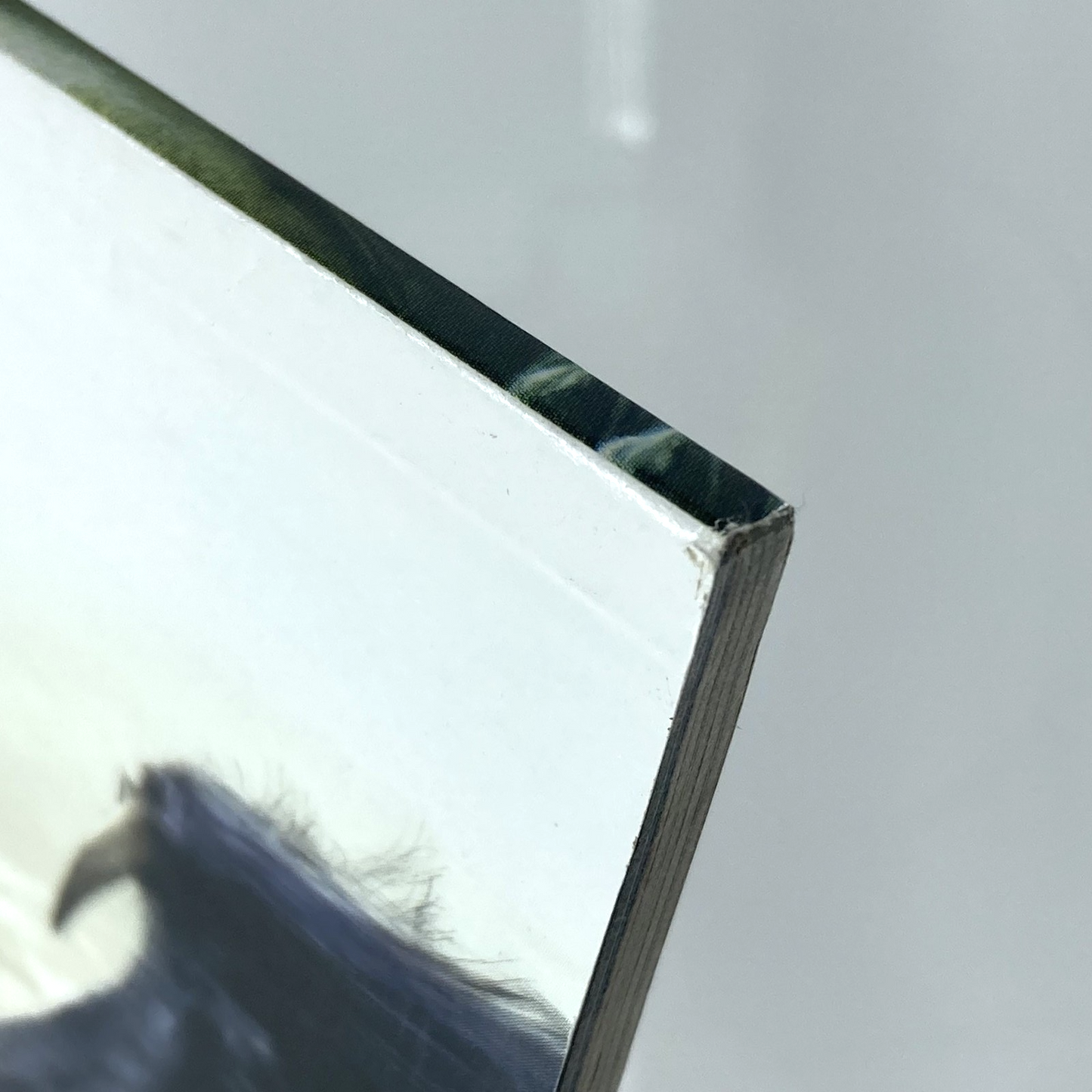 4e9e8417-d82a-4eda-b8d8-6b499cb52410