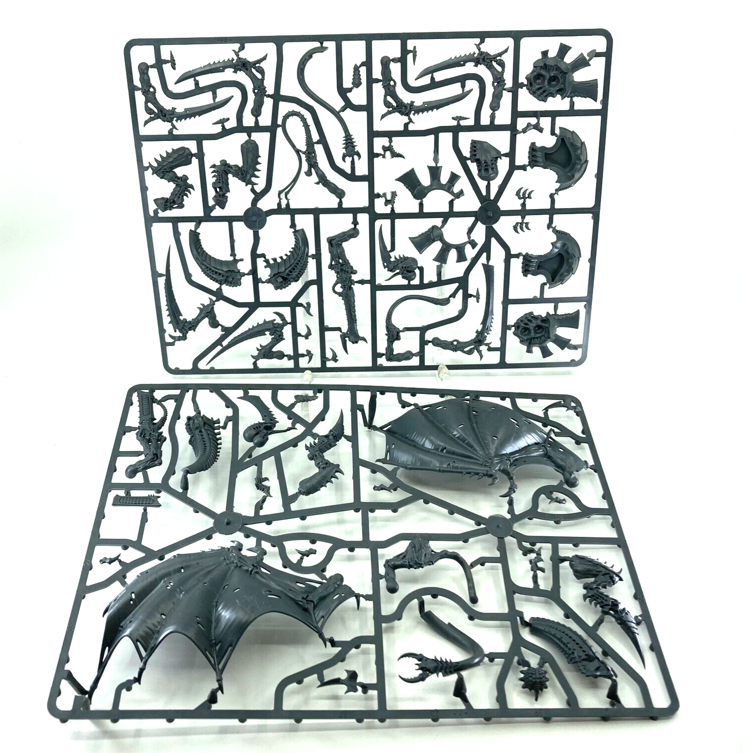 50e3b2d6-7b47-41e7-b39f-5b50b7fd17e5