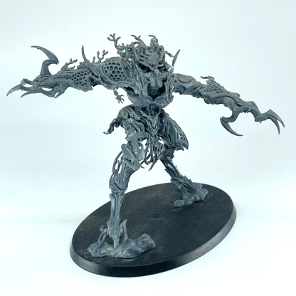 Drycha Hamadreth Sylvaneth - Warhammer Age of Sigmar Games Workshop 2