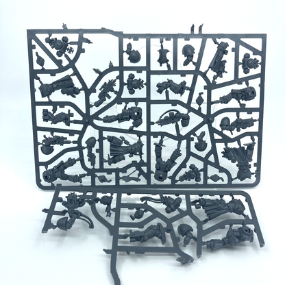 53092be5-72a3-43c6-91e6-594d85a11962