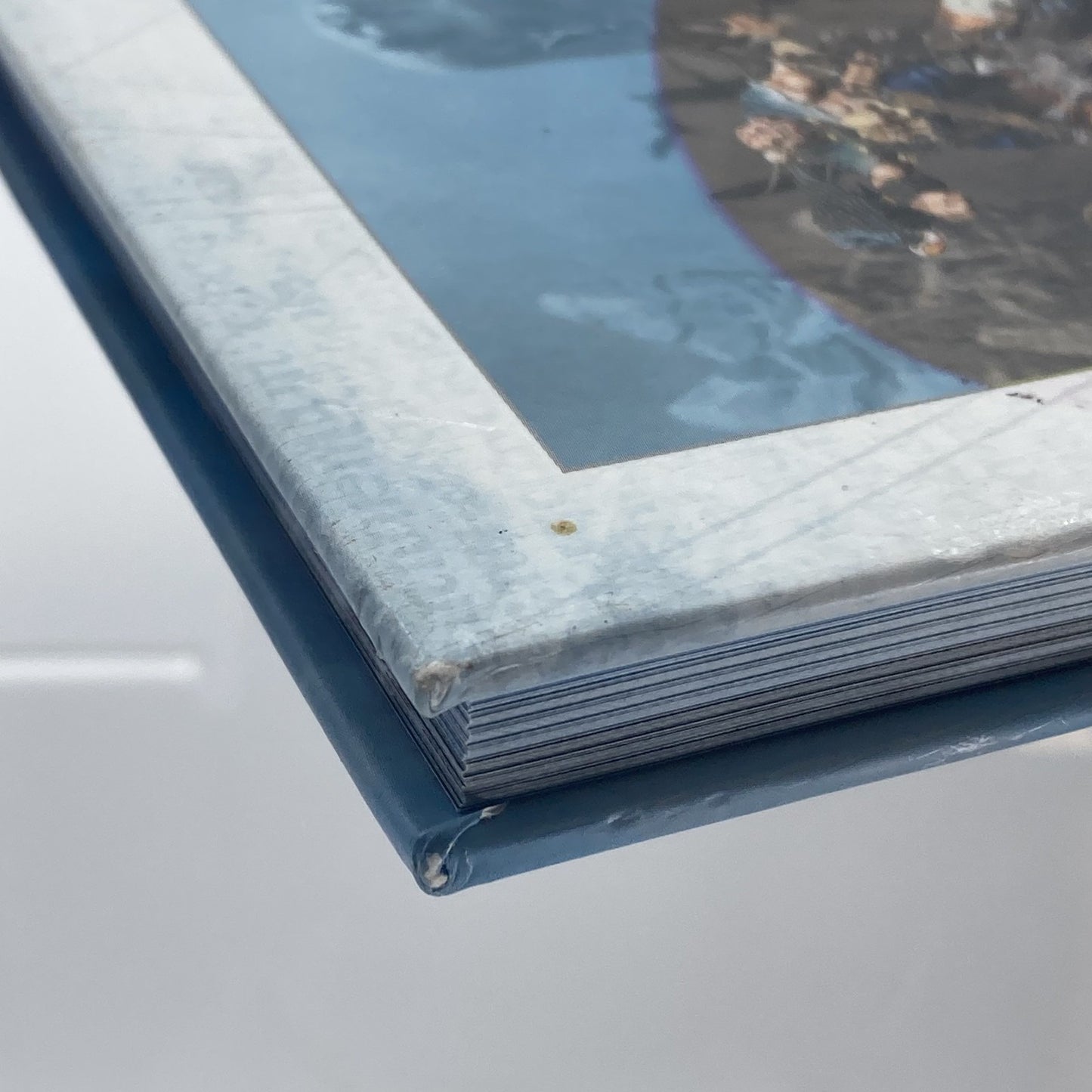 54779d84-55d2-4999-a736-71b961272dc7