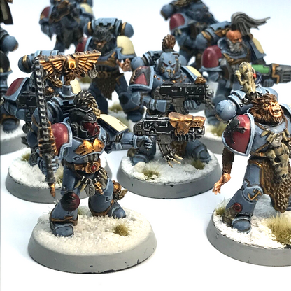 Space Wolves Squad Space Marines - Painted - Warhammer 40K C2911