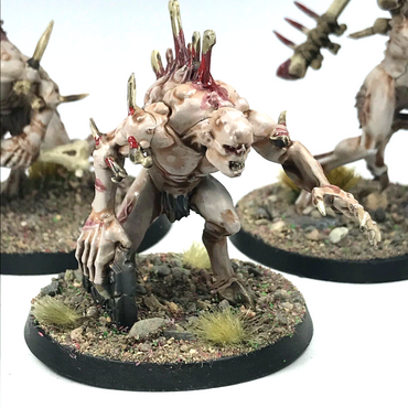 Crypt Horrors Undead Flesh Eater Courts - Warhammer Fantasy Age of Sigmar C1244