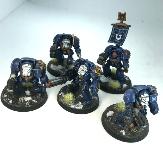 Space Marine Terminator Squad - Painted - Warhammer 40K C2051