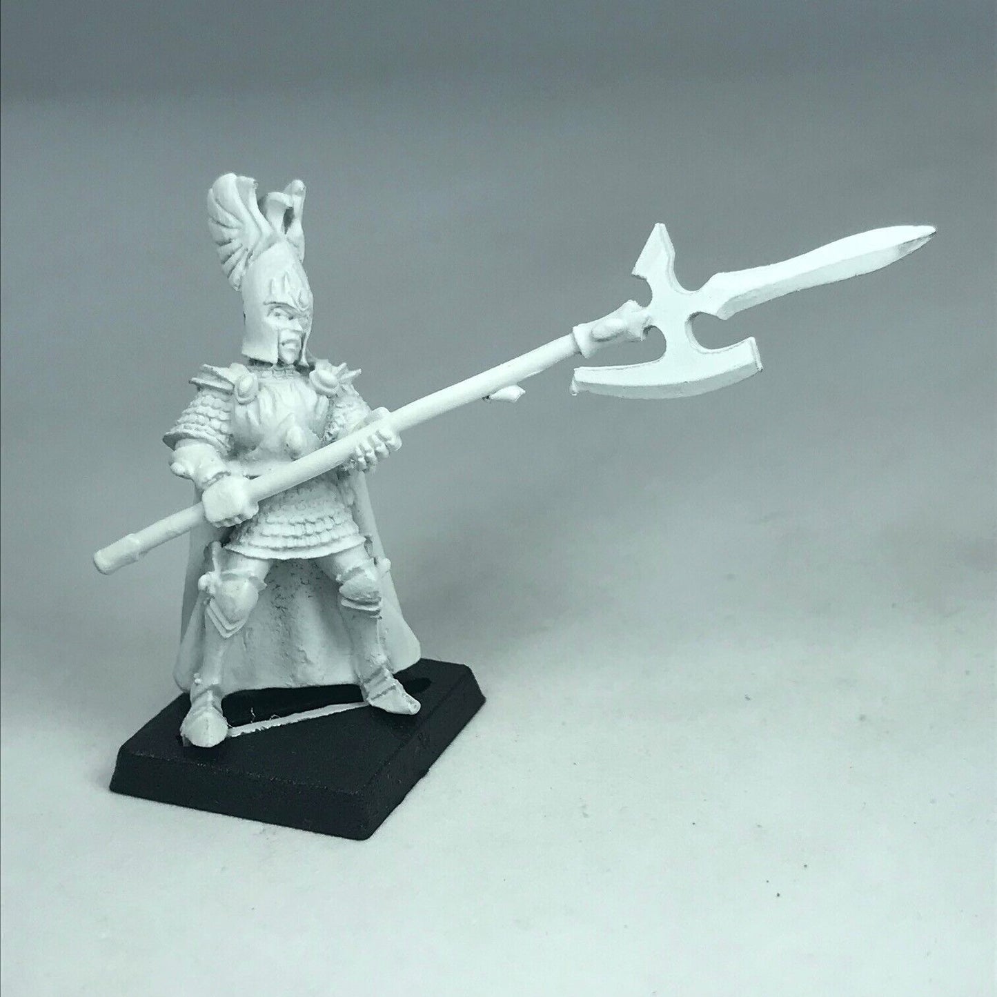 Metal Classic High Elves Elf Phoenix Guard - Warhammer Fantasy X8916