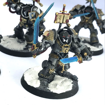 Grey Knights Paladin Terminator Squad Space Marines Warhammer 40K Painted C4735