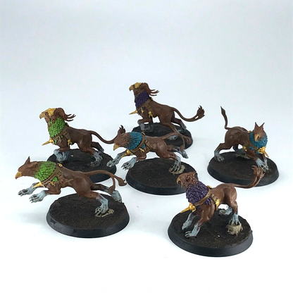 Stormcast Eternals Gryph-hounds Painted - Warhammer Age of Sigmar C2455