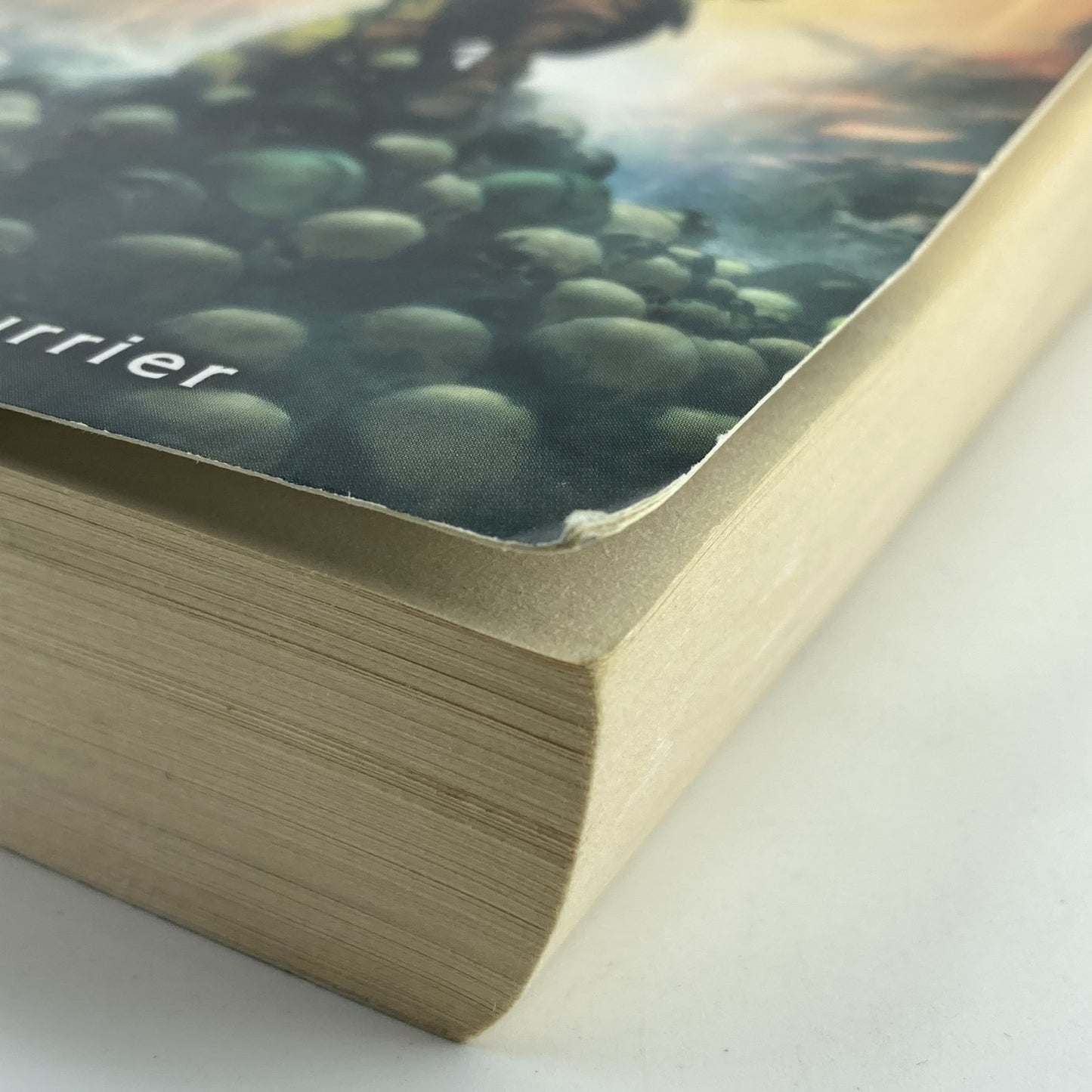 5a405598-f0ee-4d03-9630-5f389b0e34c3