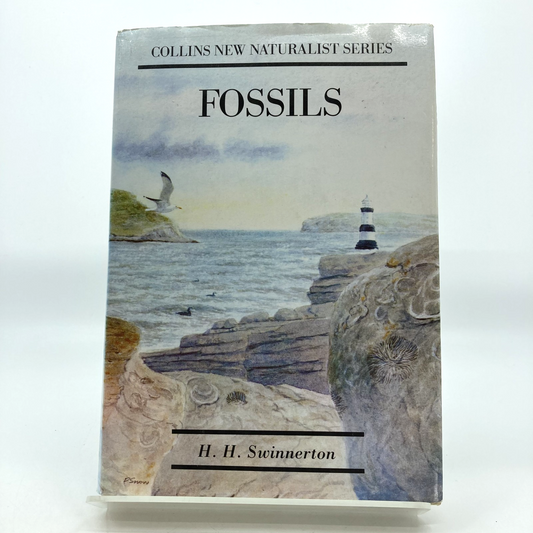 5b0bc78e-0b9b-41b5-8c50-3e741318e53a