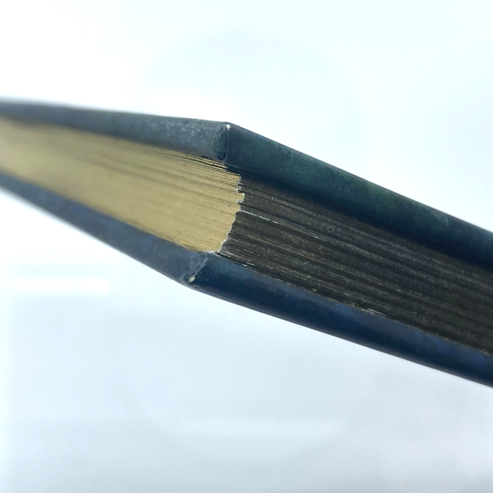 5c16ae3f-ab71-4afc-933b-d3e1373107c8