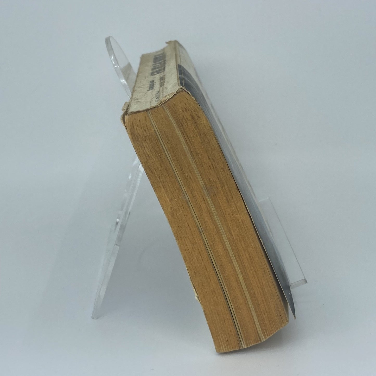 5cac81d6-4312-4d19-93e8-96e8fde0bcce