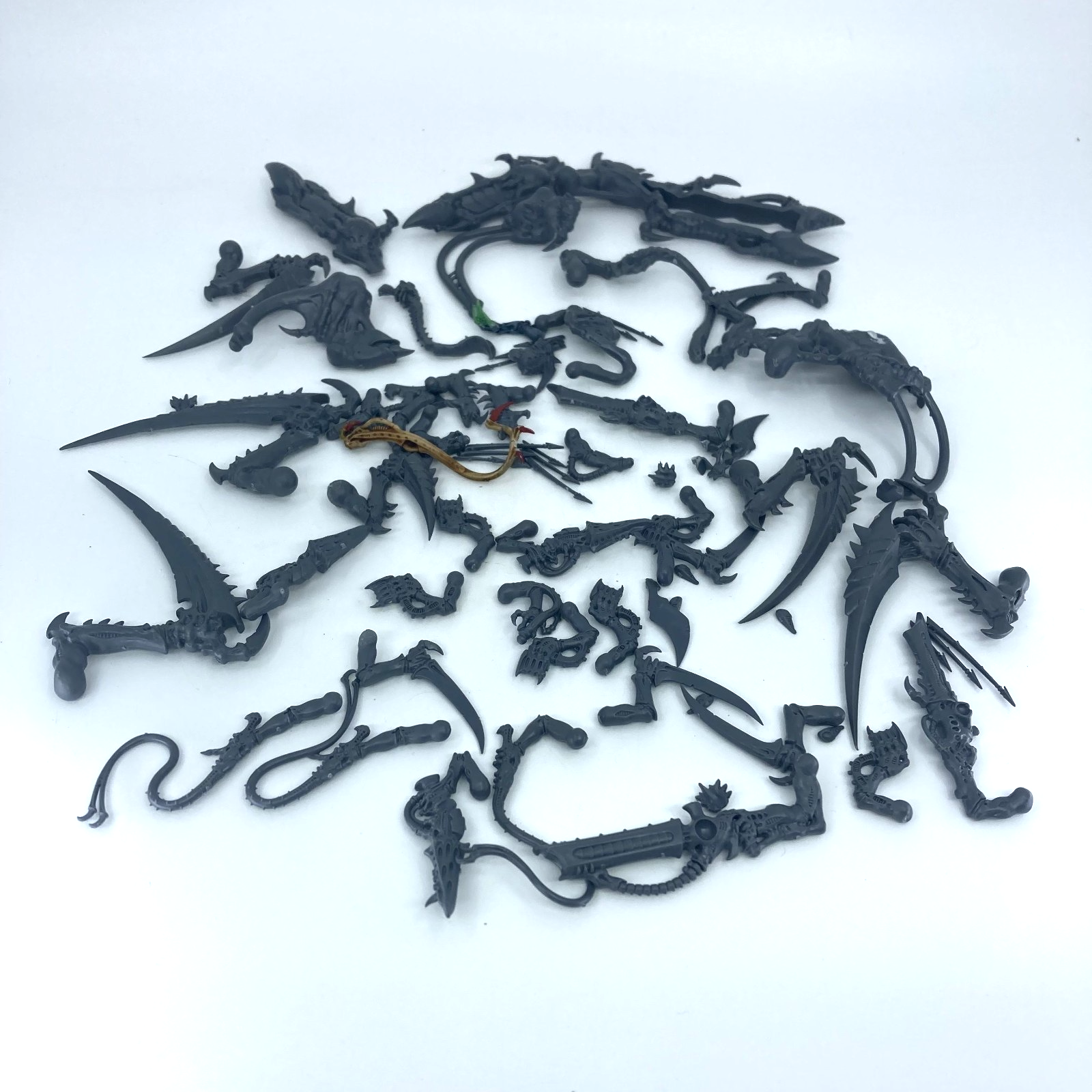 5ccc33a4-e5ae-4028-9d11-28a5863db0bd