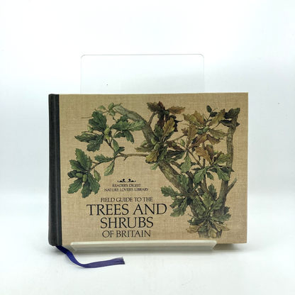 5dadaf59-9835-4333-8441-bd08cf09b35a