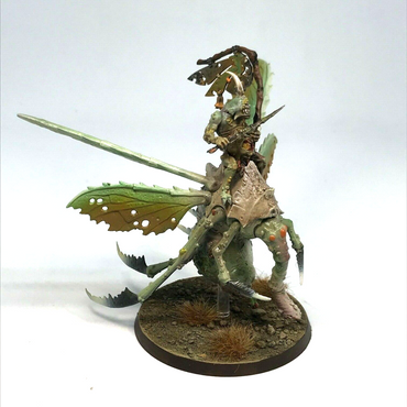 Plague Drone Maggotkin of Nurgle Chaos Warriors - Warhammer Age of Sigmar BOX86