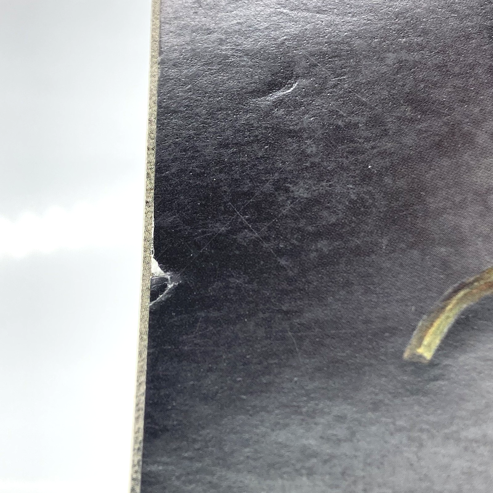 5feda179-0d25-4705-a419-795acd8e479c